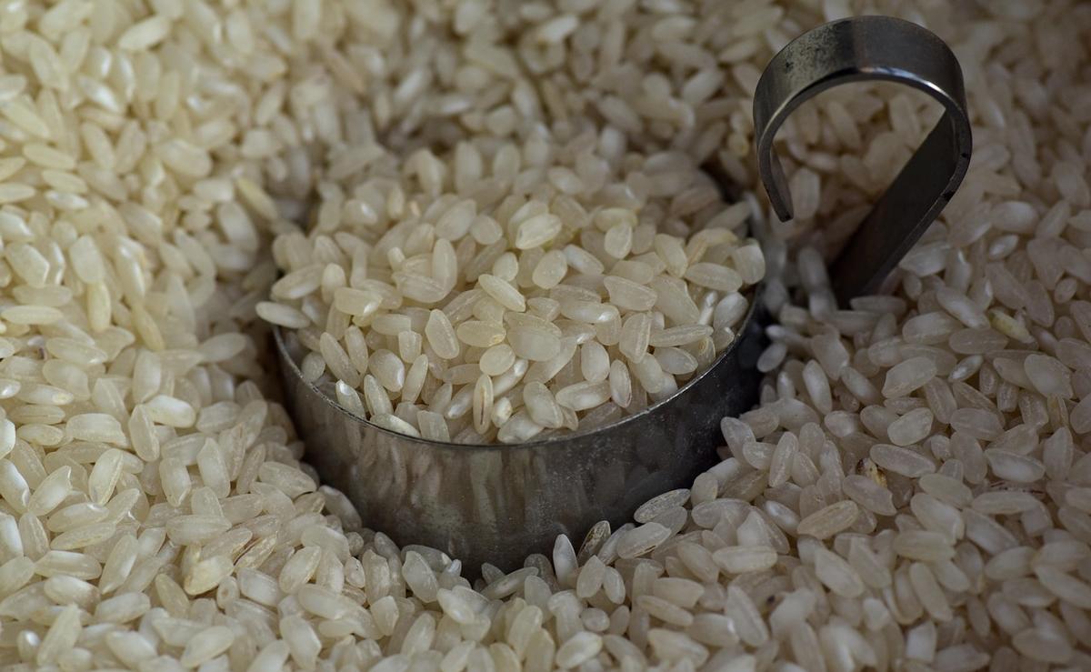 A bowl of white basmati rice next to a bowl of brown basmati rice