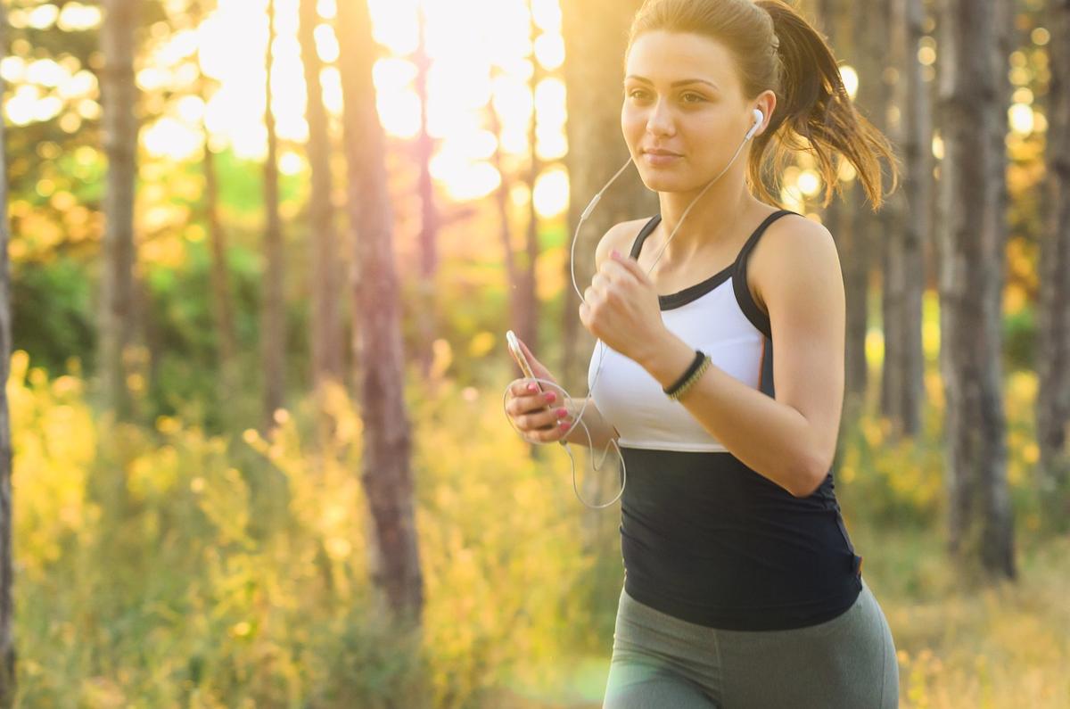 Diagram showing how regular exercise shrinks internal visceral organ fat