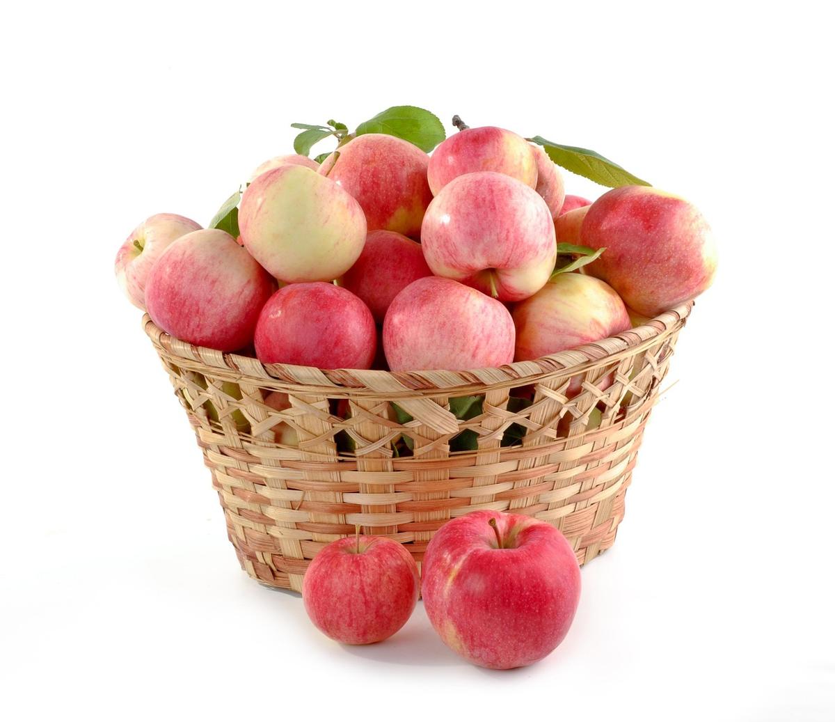 A variety of whole fruits commonly available in Pakistan