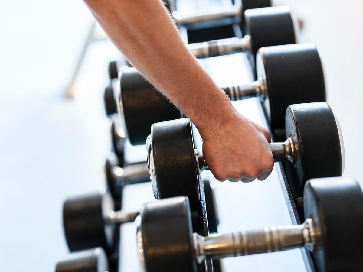 Person holding light dumbbells during a structured resistance training workout